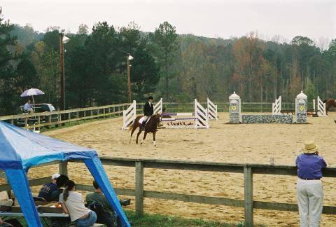 HorseShow005