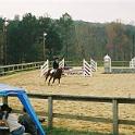 HorseShow005