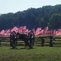 2016_Field_of_Flags