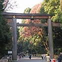 DSCN0050