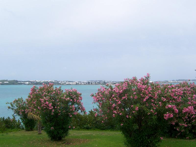 Picture 327