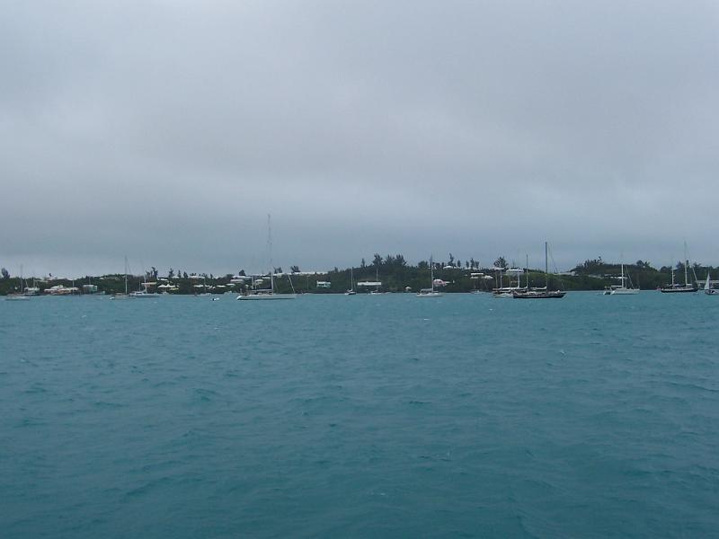 Picture 343