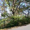 Picture 010