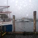 july06 4291