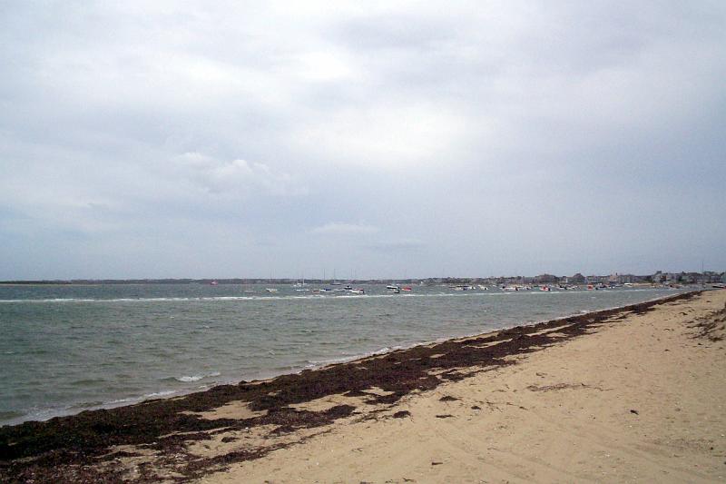 july06 3861