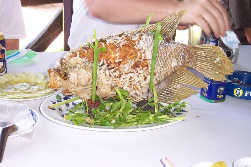 DCP_4450-Vietnam