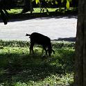 PIC00028