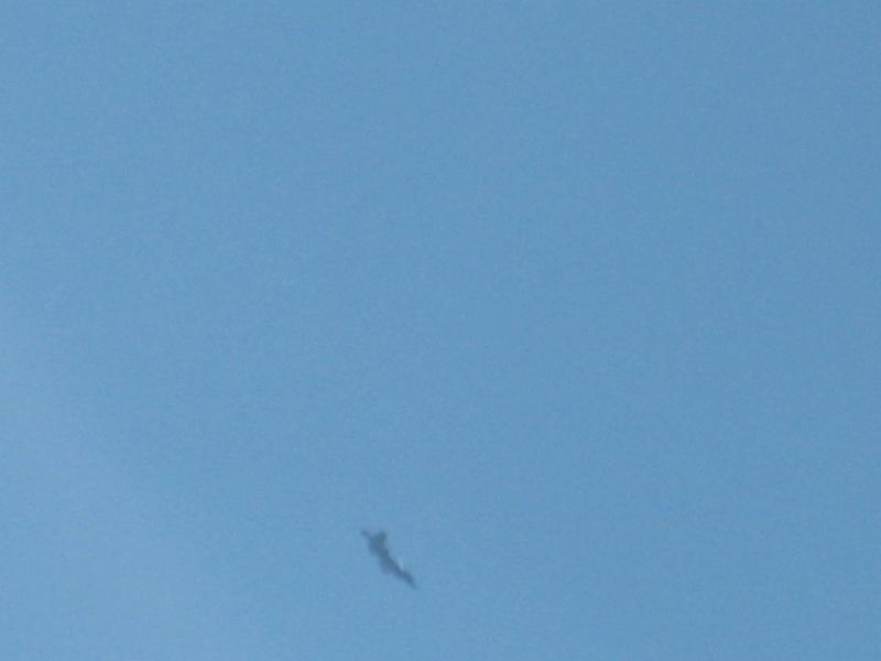 Oct 08 096