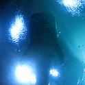 IMG_1588