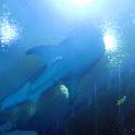 IMG_1589