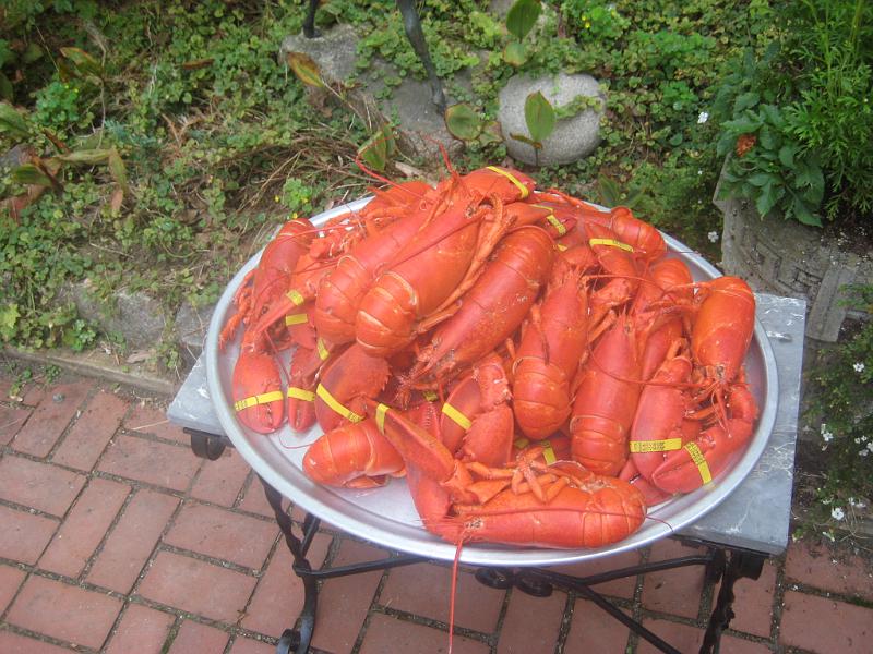 BarHarbor 718