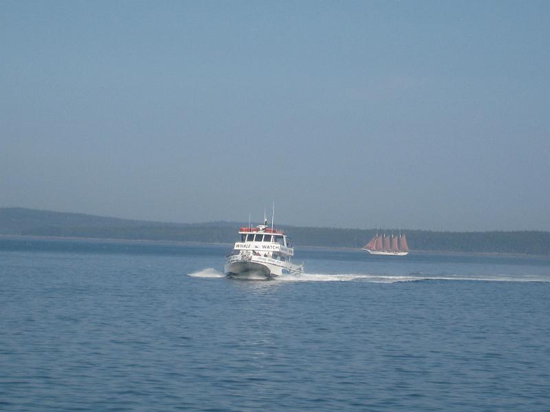 BarHarbor 727
