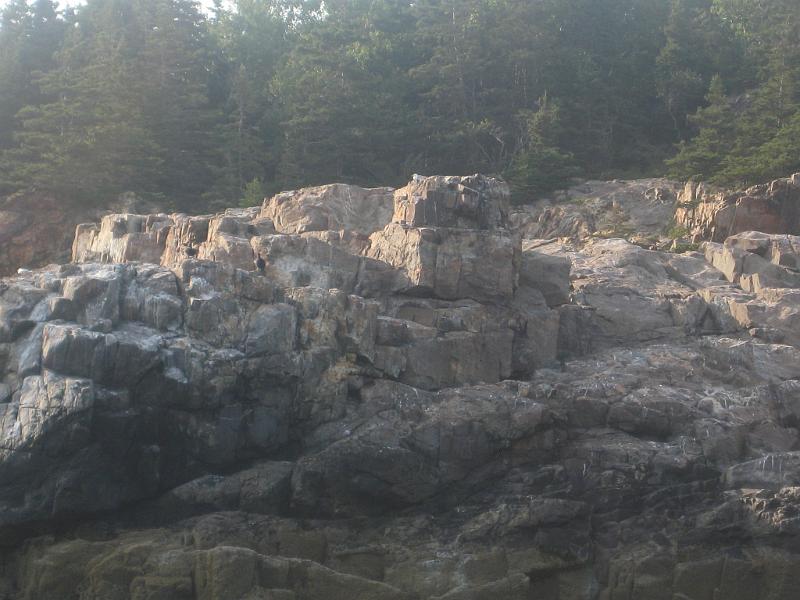 BarHarbor 750