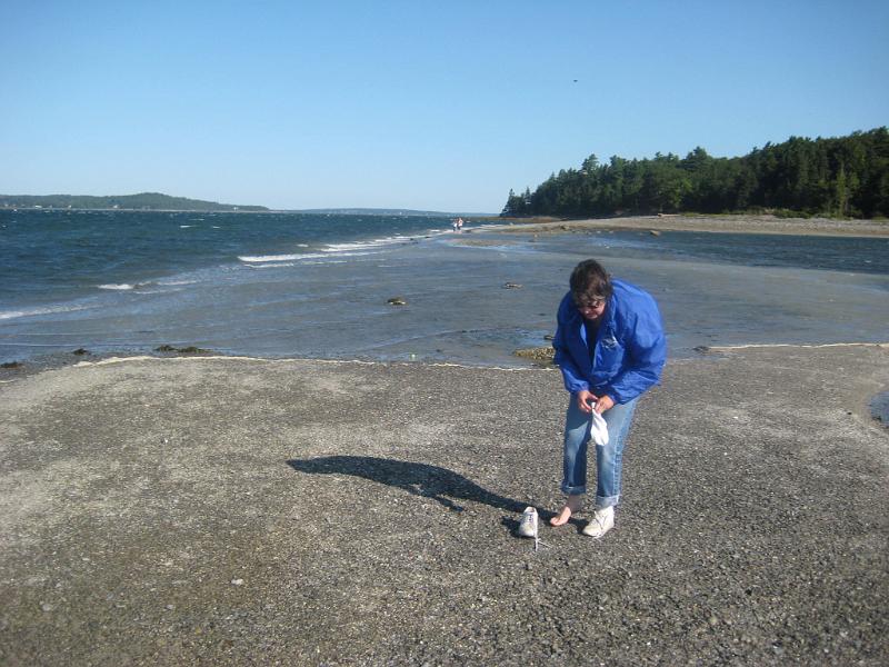 BarHarbor 834