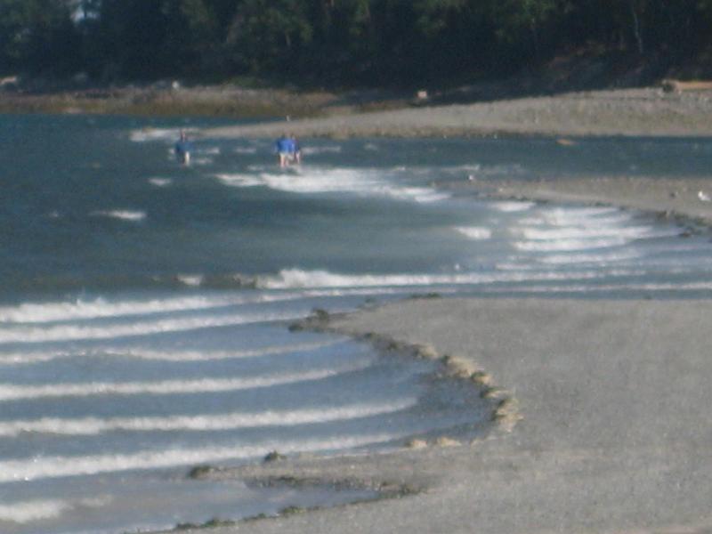 BarHarbor 838