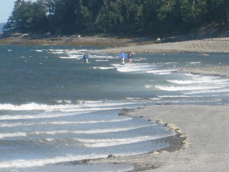BarHarbor 839