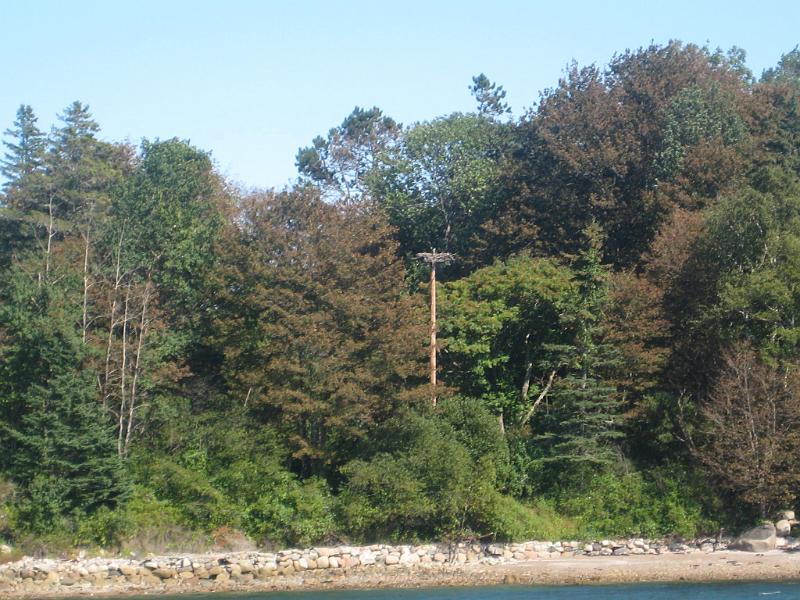 BarHarbor 896