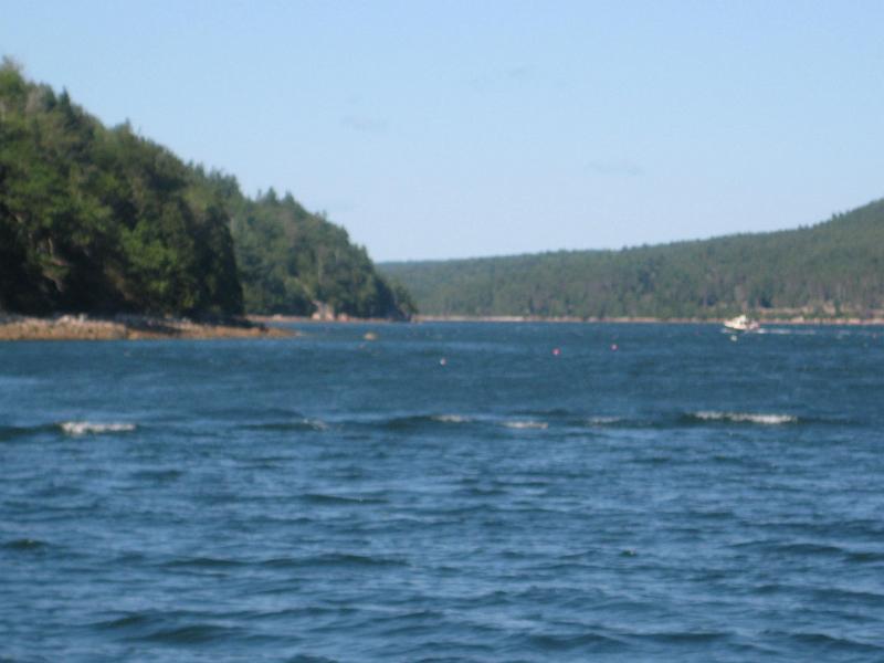 BarHarbor 900