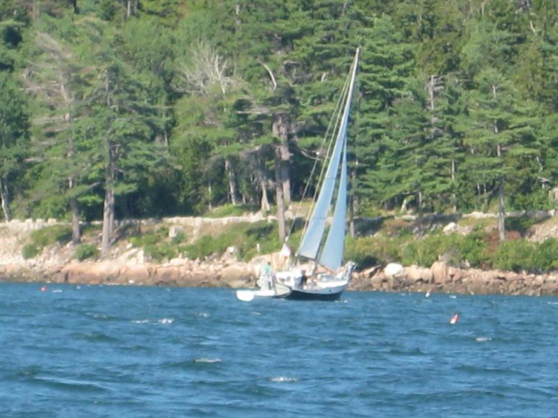 BarHarbor 905