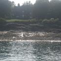 BarHarbor 730