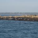 BarHarbor 762
