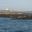 BarHarbor 763