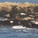 BarHarbor 764