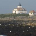BarHarbor 767