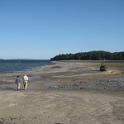 BarHarbor 829