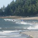 BarHarbor 840
