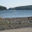 BarHarbor 843