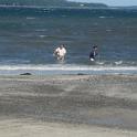 BarHarbor 845