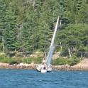 BarHarbor 904