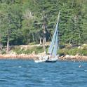 BarHarbor 905