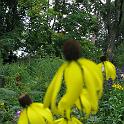 IMG_2889