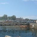 IMG_2910
