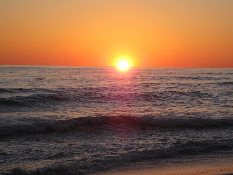 Picture 158