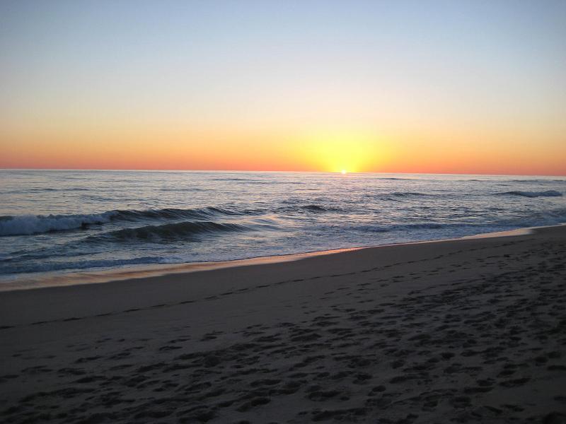 Picture 160