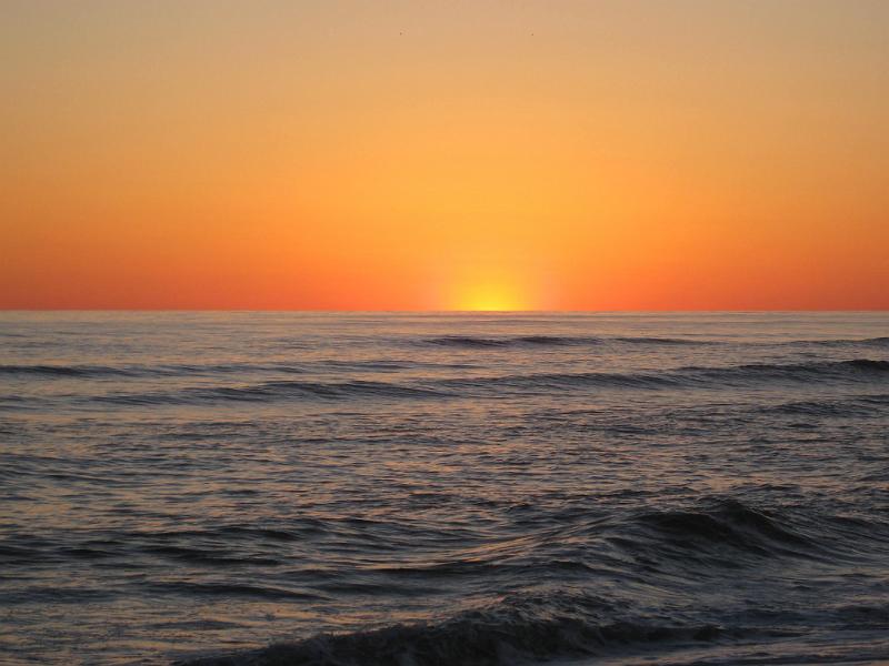 Picture 162