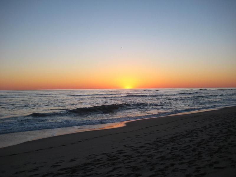 Picture 163