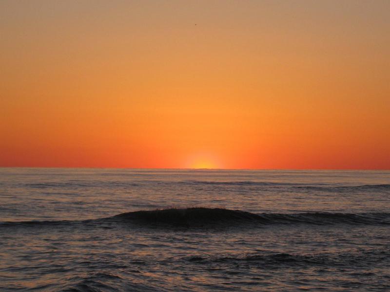 Picture 164