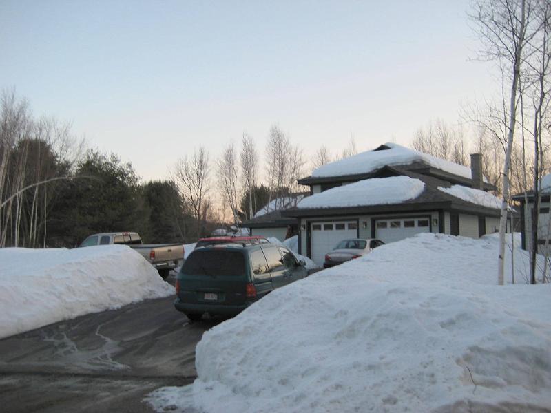 Picture 635