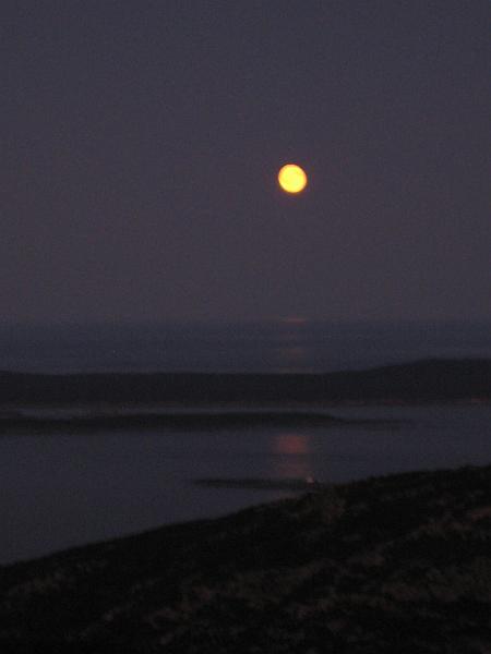 Bar Harbor 09 086