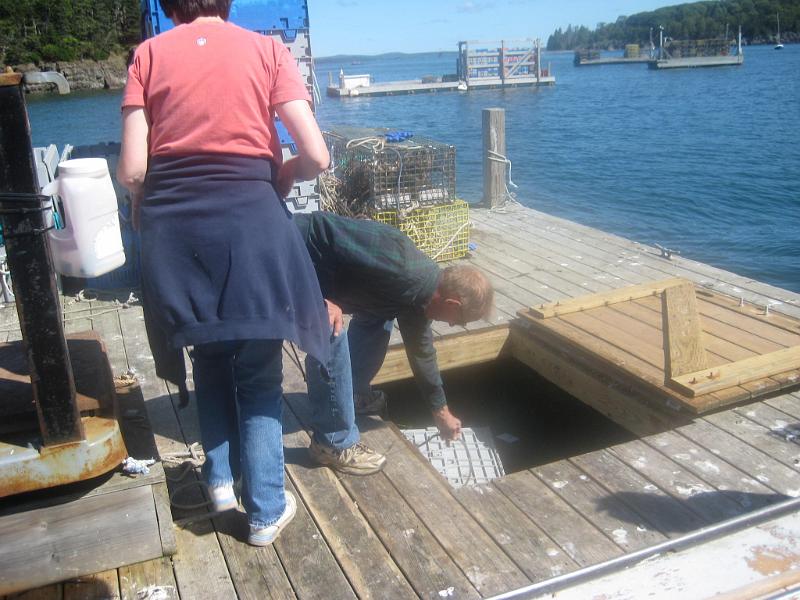 Bar Harbor 09 139