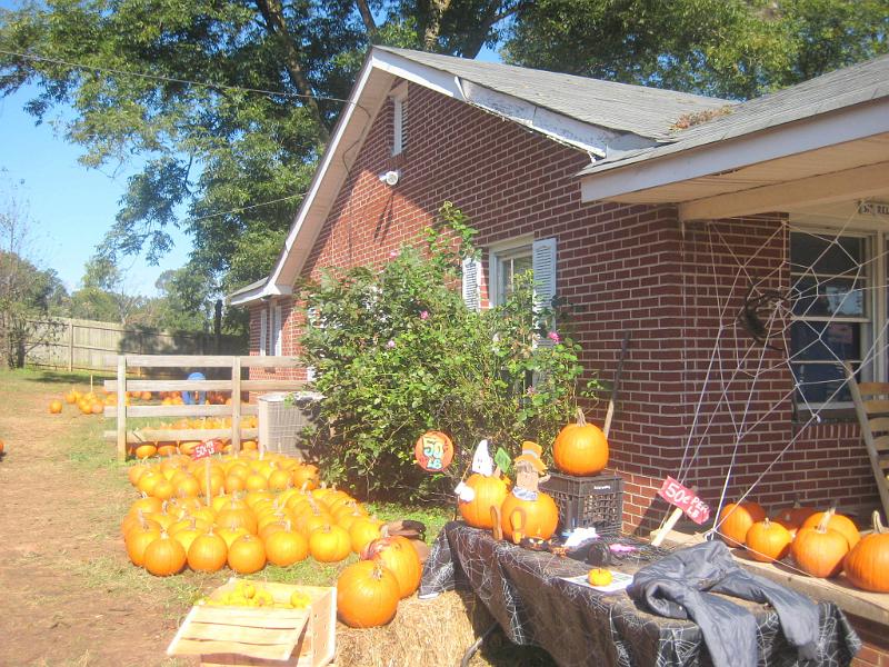 Cagle 09 006