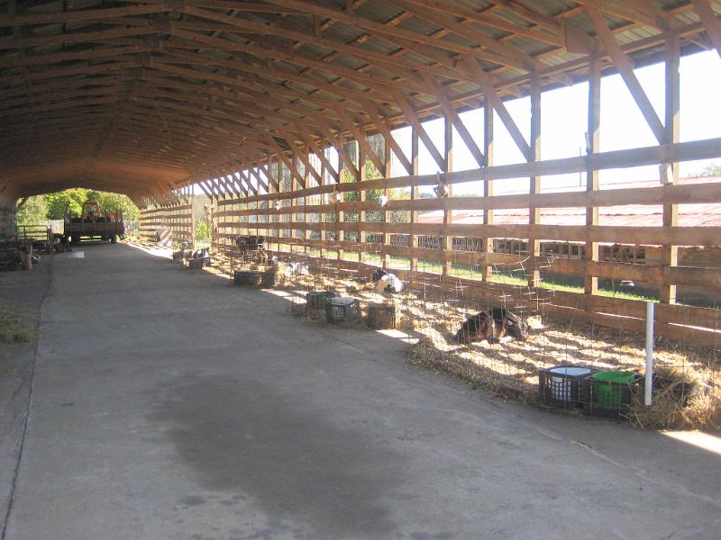 Cagle 09 022