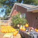 Cagle 09 006