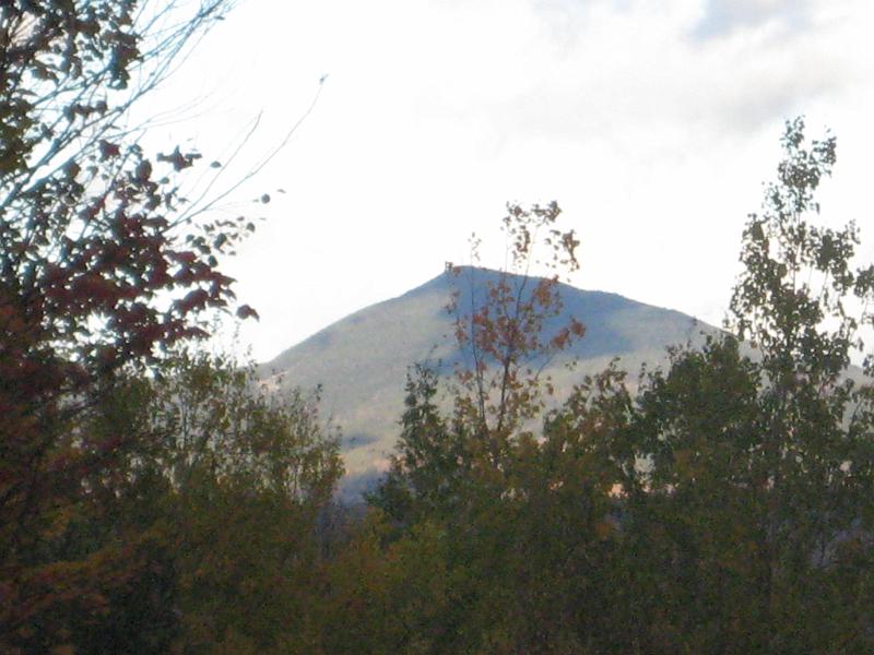Oct 09 391