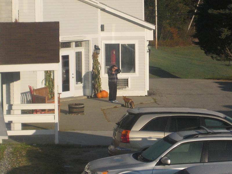 Oct 09 520