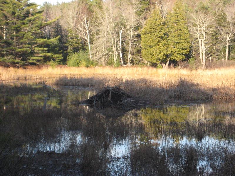 Bar Harbor 09 040
